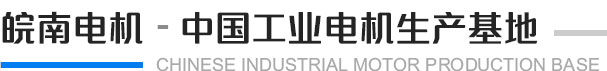 皖南电机 中国工业用

电机生产基地