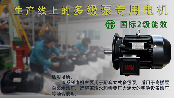 皖南电机:多级泵 皖南电机:多级泵