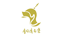 铜陵有色集团